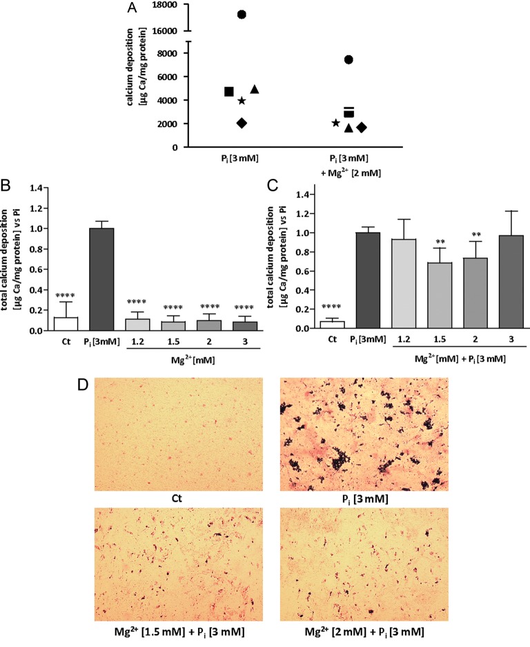 FIGURE 1: