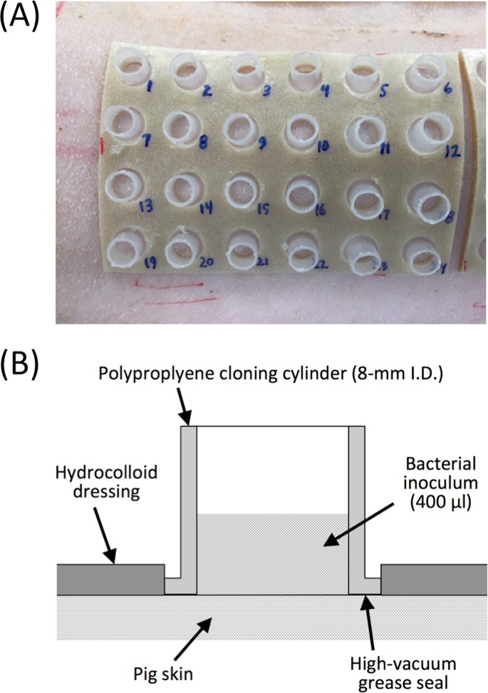 Fig 1