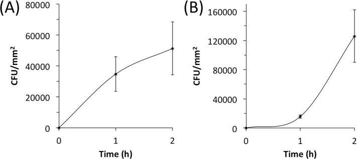 Fig 2