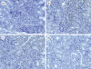 Figure 3.