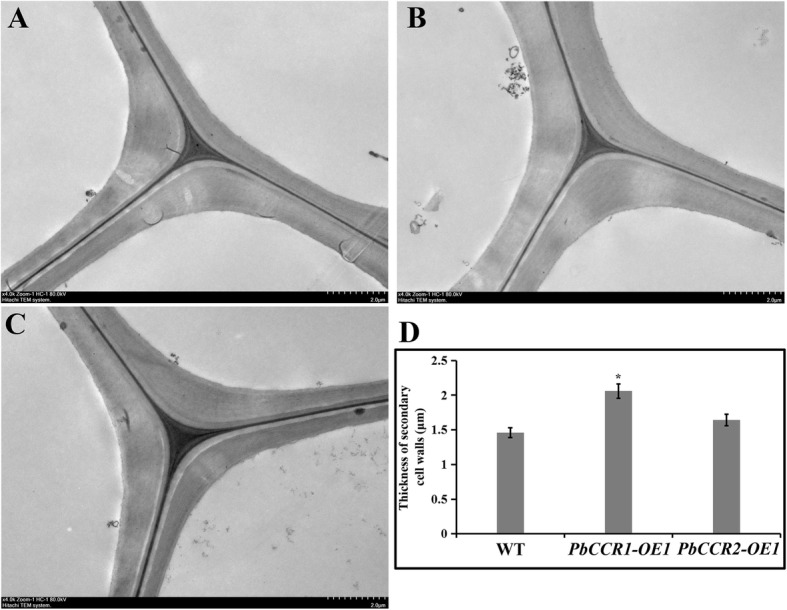 Fig. 8