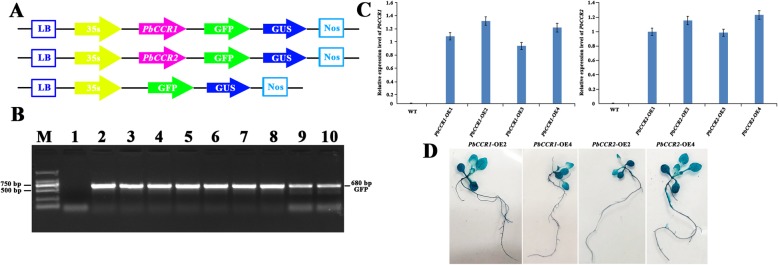 Fig. 6