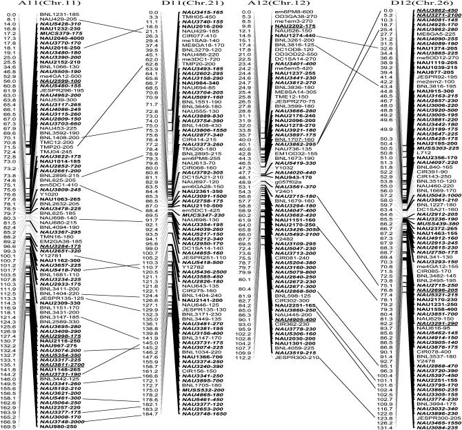 Figure 2.—