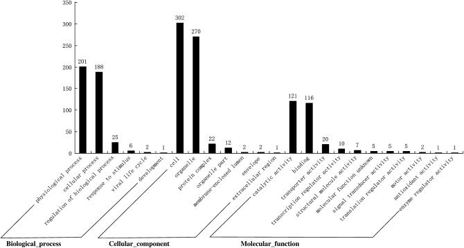 Figure 3.—