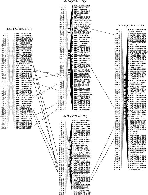 Figure 2.—