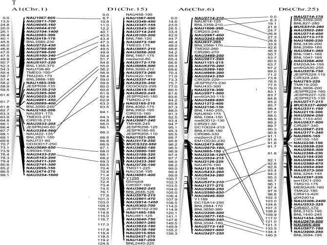 Figure 2.—