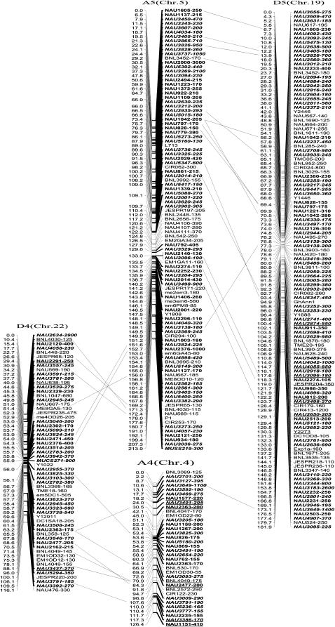 Figure 2.—