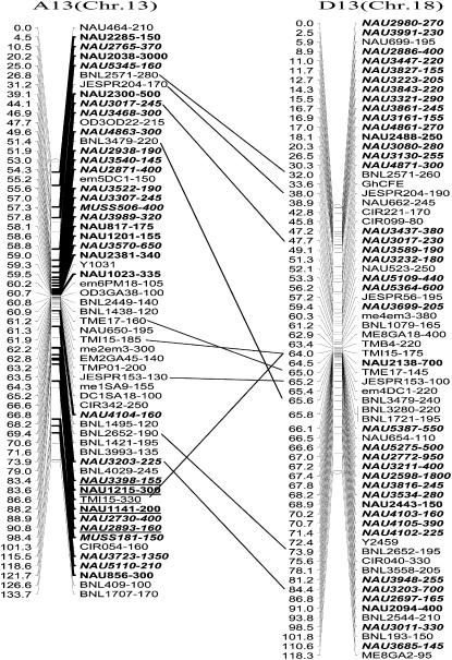 Figure 2.—