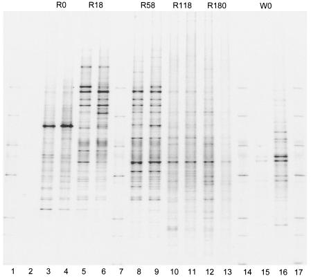 FIG. 6.