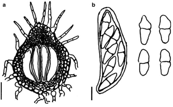 Fig. 53