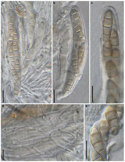 Fig. 88