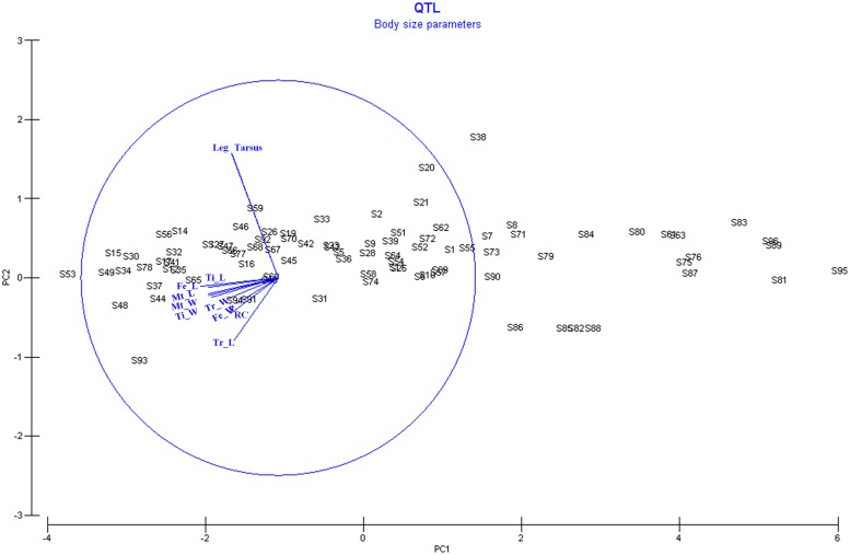 Fig 3