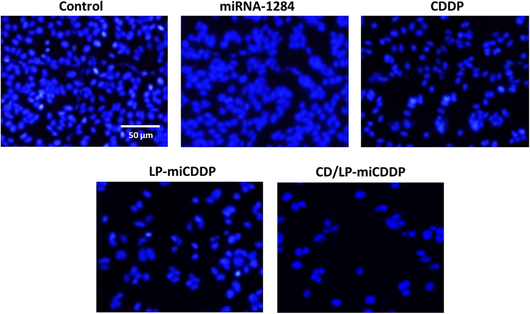 Fig. 6