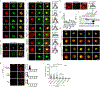 Extended Data Figure 7.