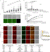 Extended Data Figure 4.