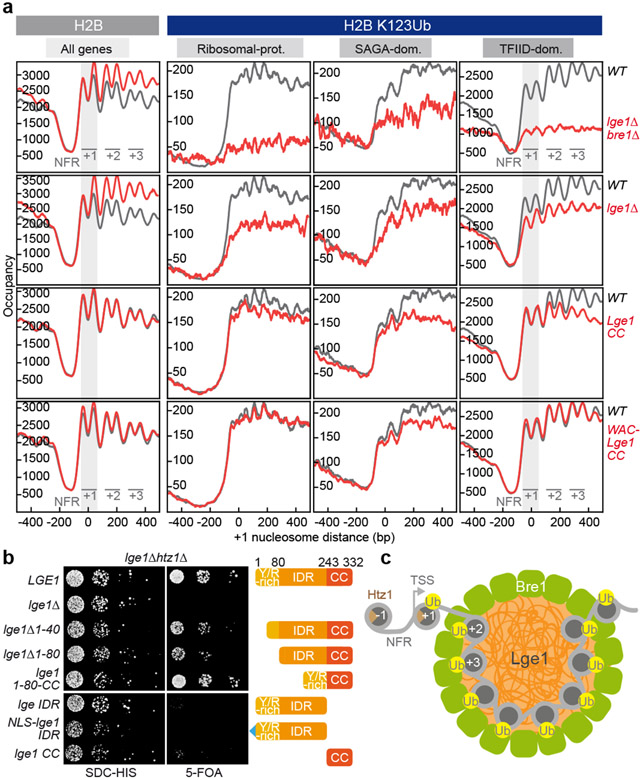 Figure 4.