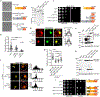 Extended Data Figure 10.