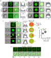 Extended Data Figure 3.