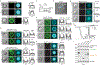 Extended Data Figure 6.