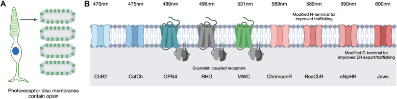 FIGURE 4