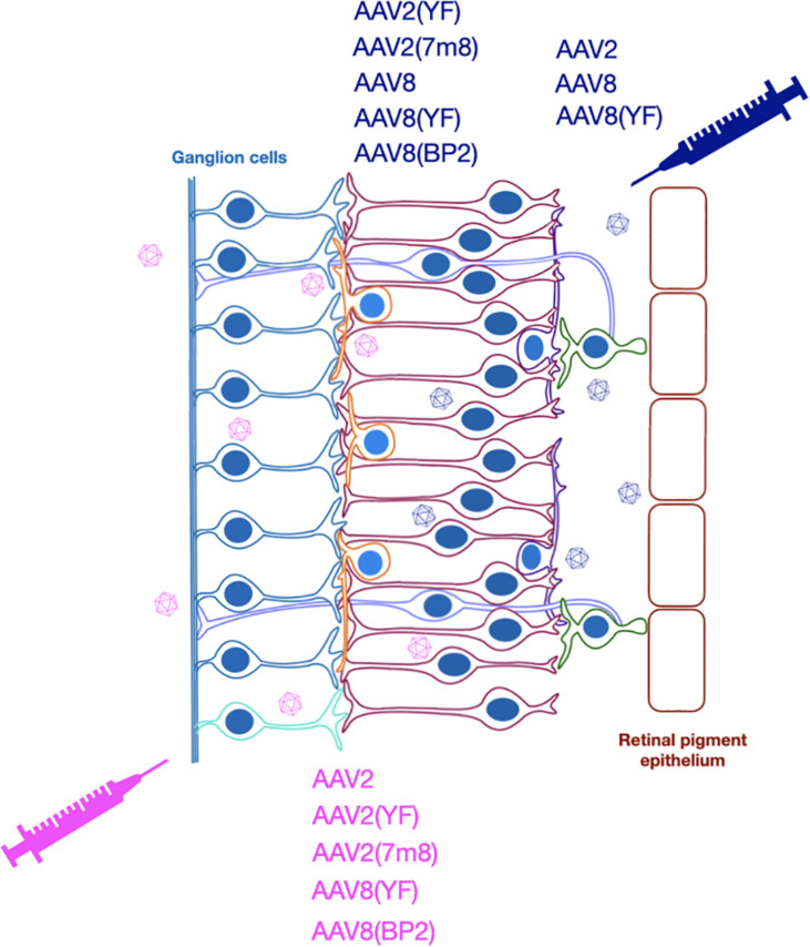 FIGURE 3