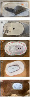 FIGURE 1