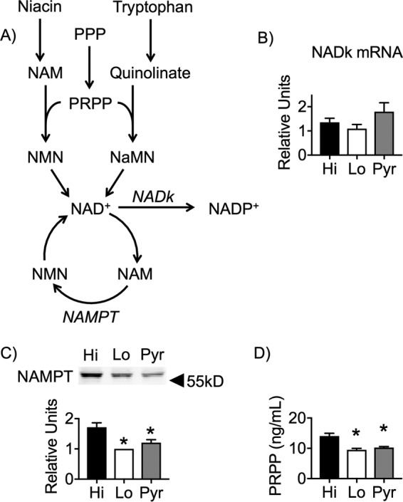 Figure 5.