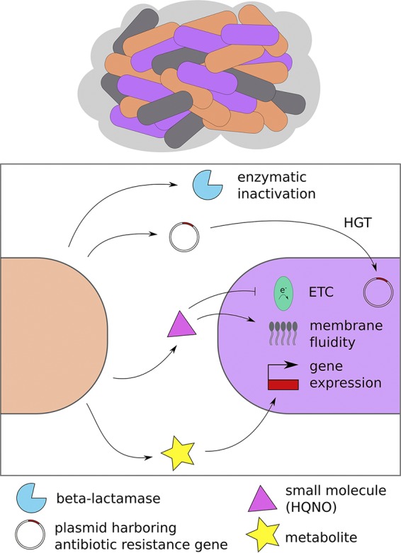 FIG 1