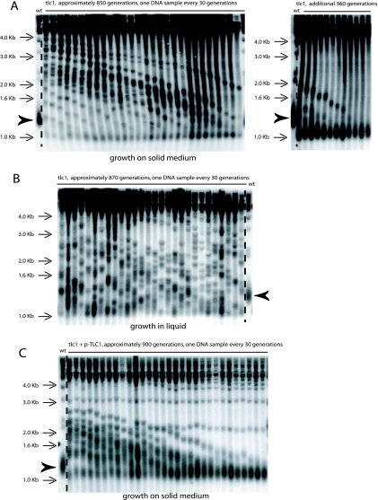 FIG. 9.