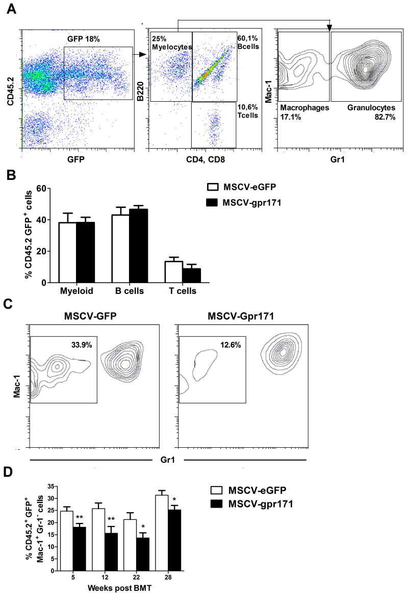 FIG. 6