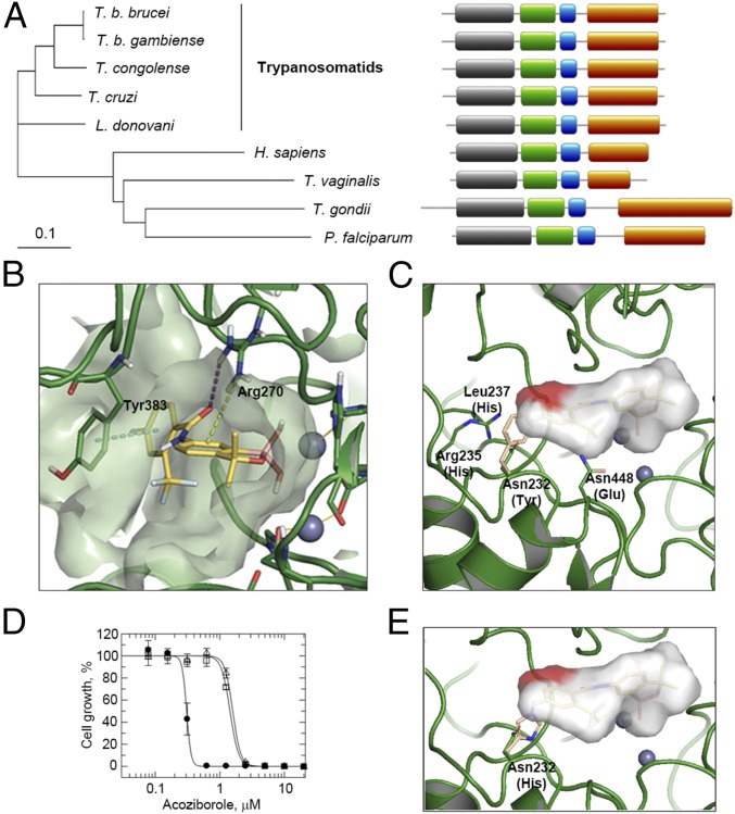 Fig. 4.