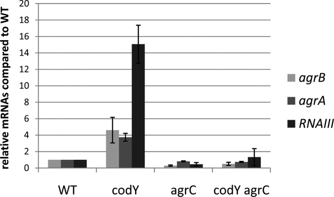 FIG 3