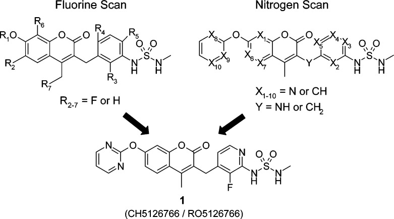 Scheme 1