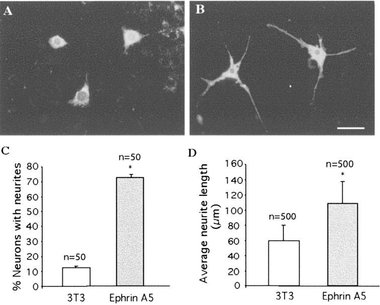 Figure 9.