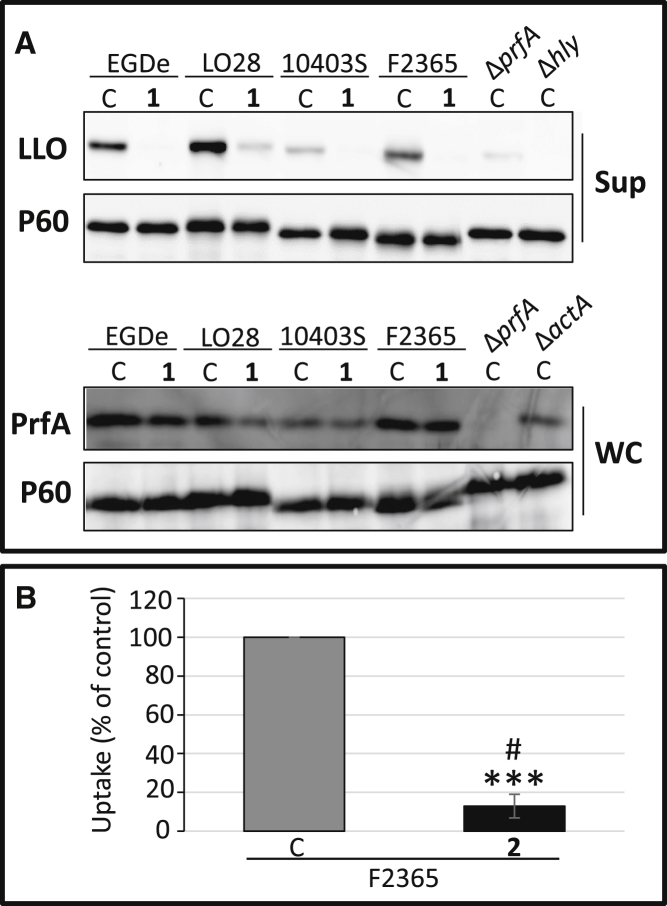 Figure 3