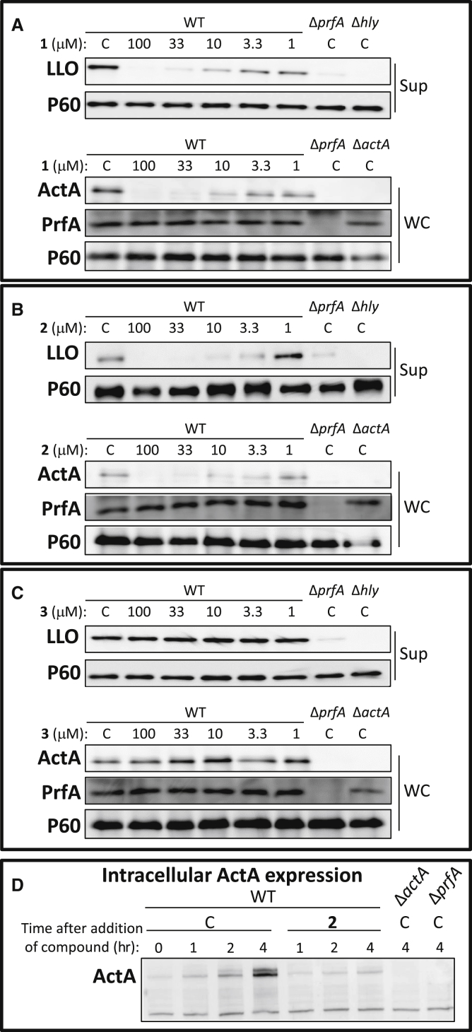 Figure 2