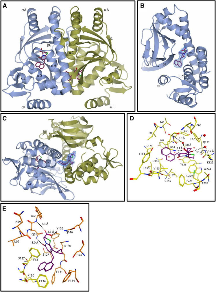 Figure 6