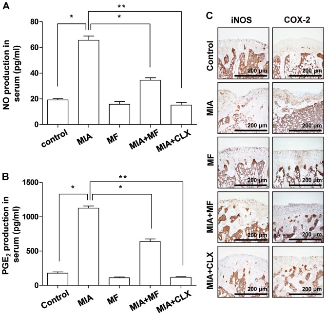 Figure 6.