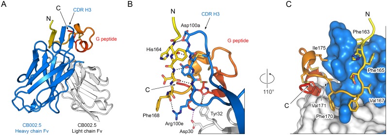 Fig 3