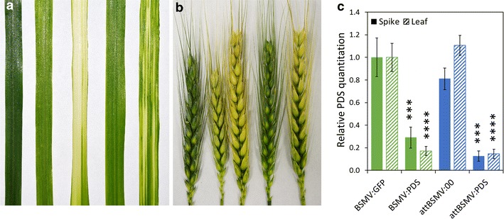 Fig. 4