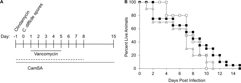 FIG 6