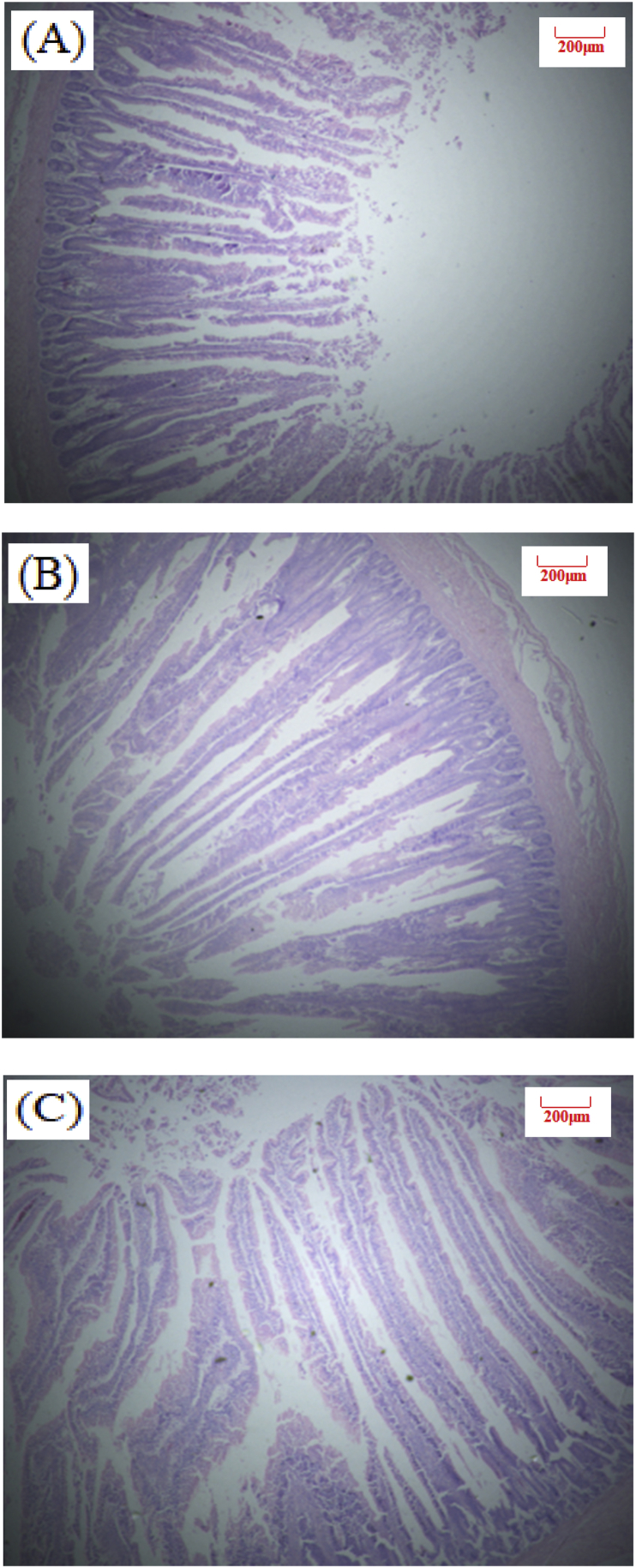 cFig. 1