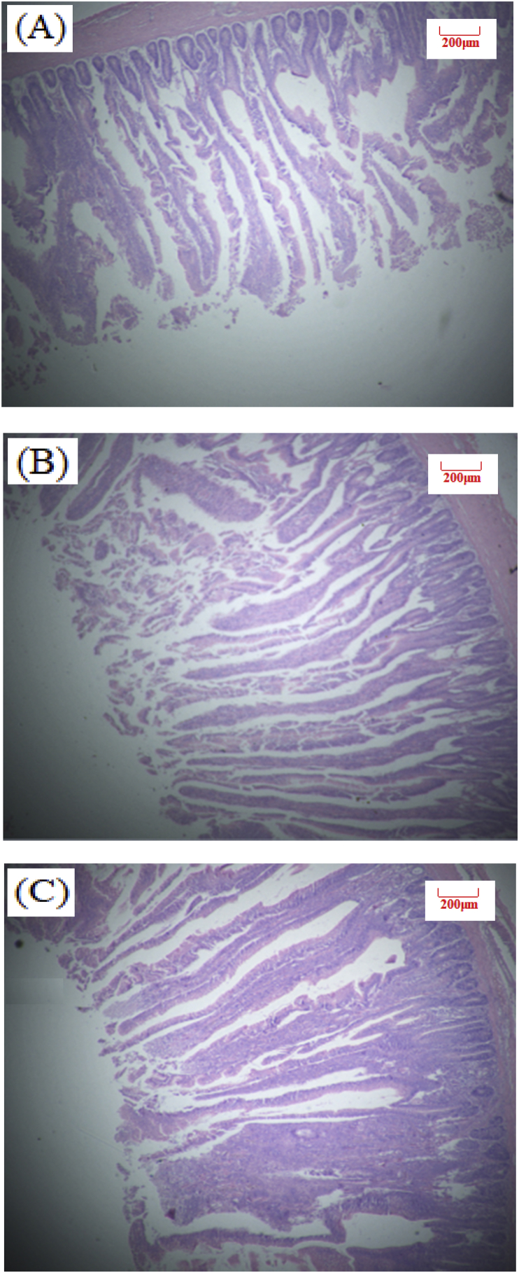 Fig. 4