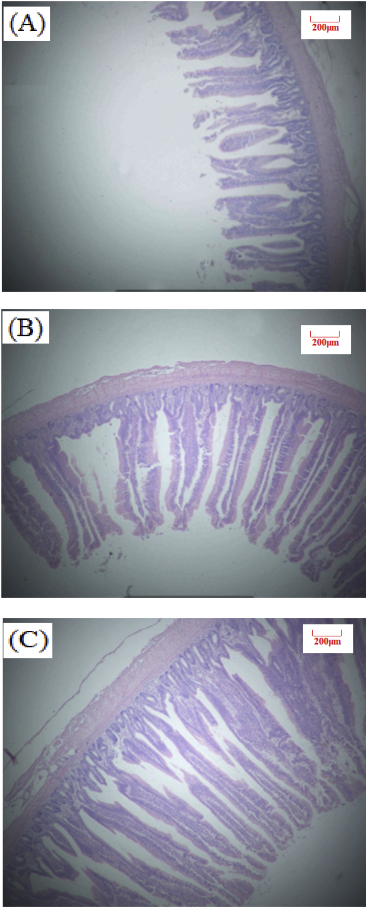 Fig. 2