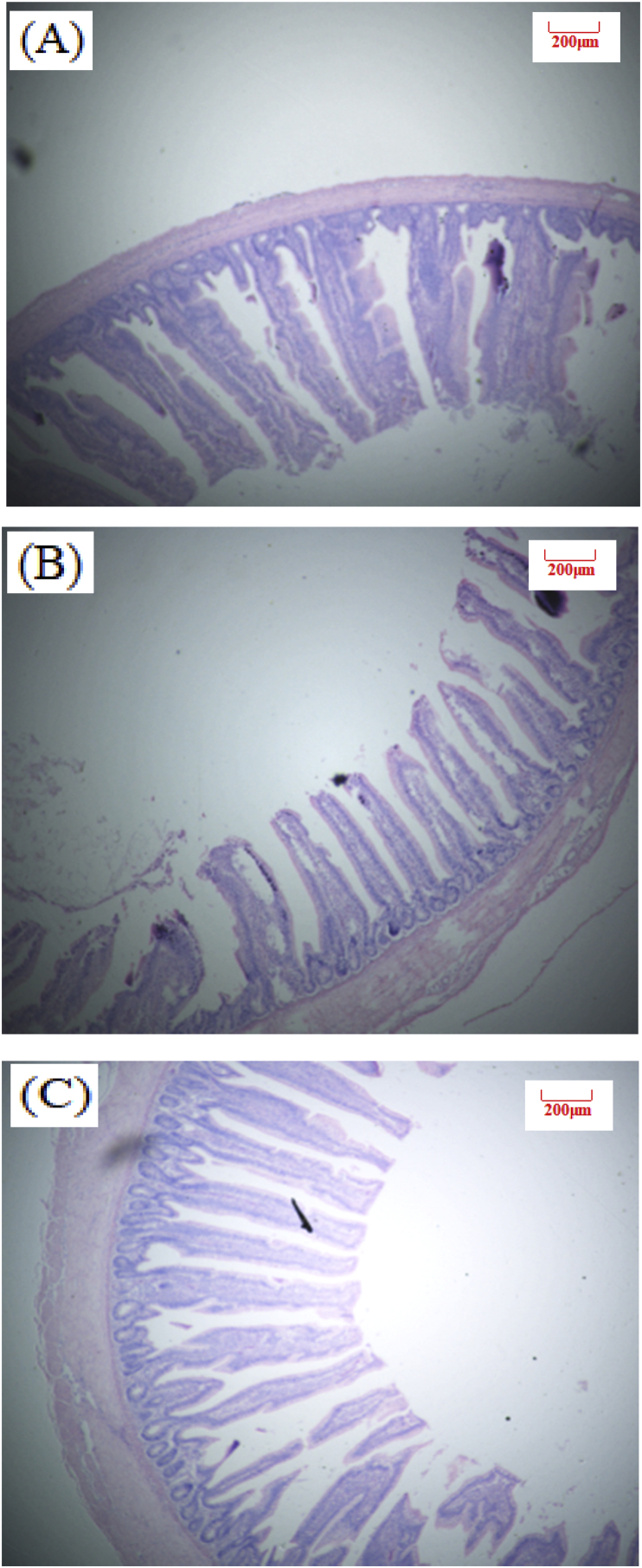 Fig. 3