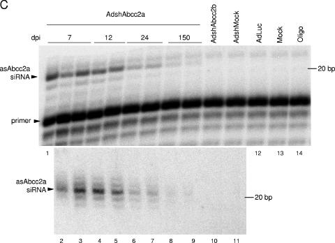 FIG. 4.