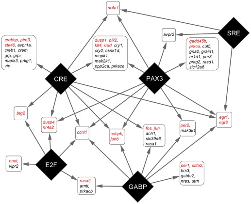 Figure 7