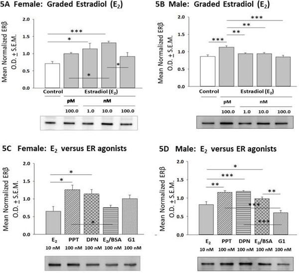 Figure 5: