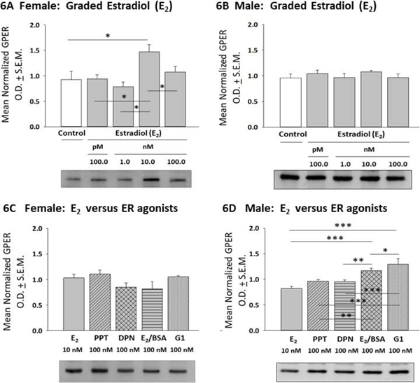 Figure 6: