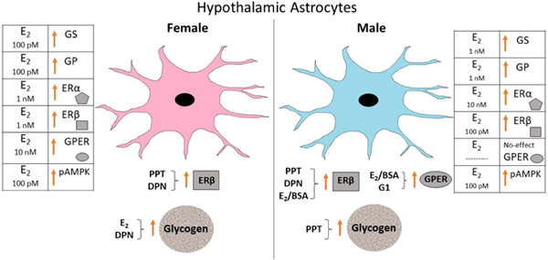 Figure 12.